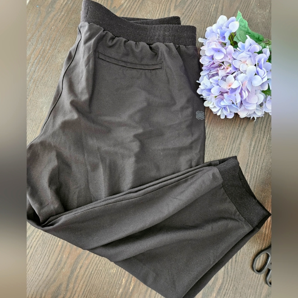 Flx Womens Joggers Black Size 4xb